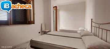 Immagine 4 - 235 App. Ascea