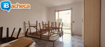 Immagine 5 - 235 App. Ascea