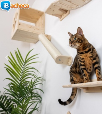 Immagine 1 - Mensole x percorso gatti