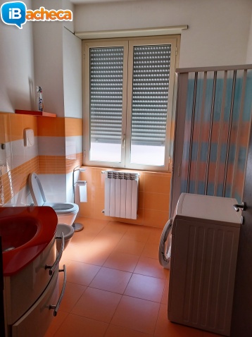 Immagine 4 - Bivani/cottura arredato