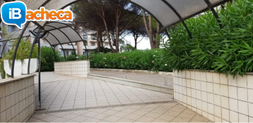 Immagine 1 - Anzio (RM) casa vacanze