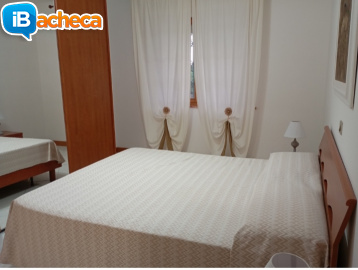 Immagine 5 - Anzio (RM) casa vacanze