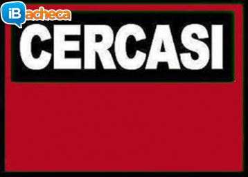 Immagine 1 - Cercasi case