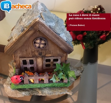 Immagine 2 - Cercasi case