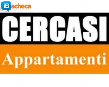 Immagine 3 - Cercasi case