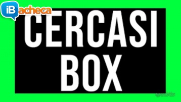 Immagine 4 - Cercasi case