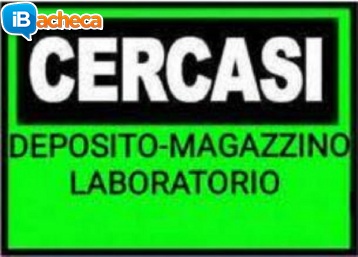 Immagine 5 - Cercasi case