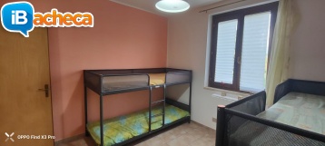 Immagine 4 - 105 Stampella
