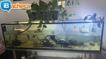 Immagine 1 - Acquario180cm