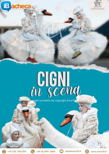 Immagine 1 - Cigni in scena
