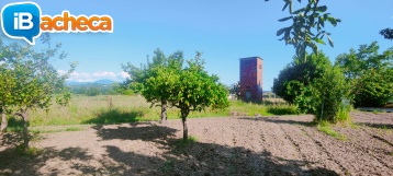 Immagine 1 - 49 terreno agricolo
