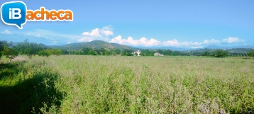 Immagine 2 - 49 terreno agricolo