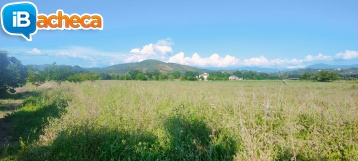 Immagine 3 - 49 terreno agricolo