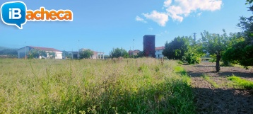 Immagine 4 - 49 terreno agricolo