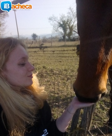Immagine 1 - Corso Animal Communicator