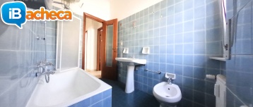 Immagine 5 - liguria - Chiavari (GE)