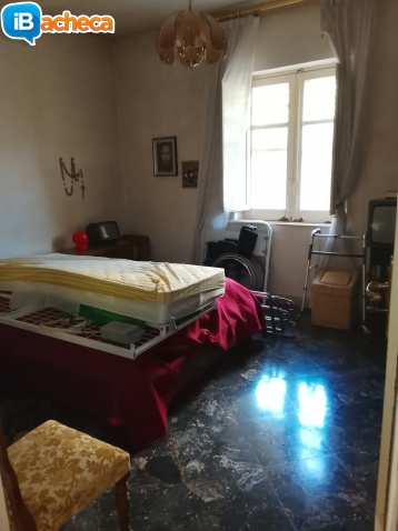 Immagine 2 - Via Dante luminoso trivan