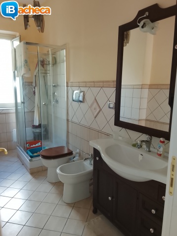 Immagine 3 - Via Dante luminoso trivan