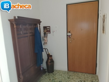 Immagine 4 - Via Dante luminoso trivan