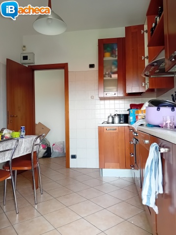Immagine 1 - 2 locali libero
