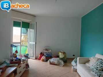 Immagine 2 - 2 locali libero