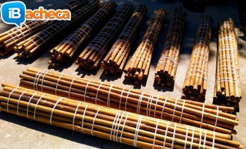 Immagine 5 - Vendo canne di bambù