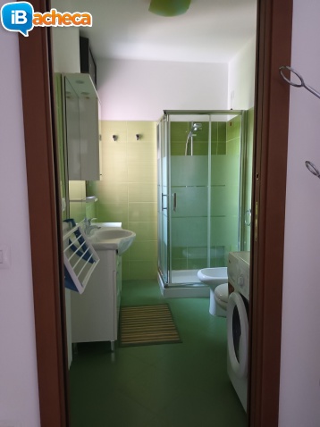 Immagine 5 - Trilocale locazione