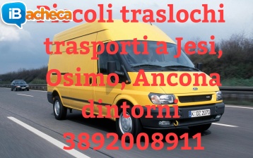 Immagine 1 - Piccoli traslochi