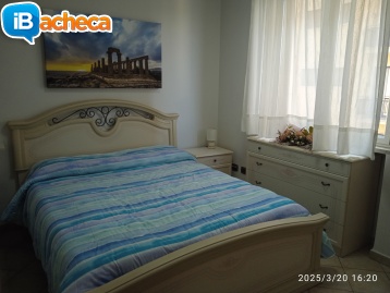 Immagine 3 - Centro Città appartamento