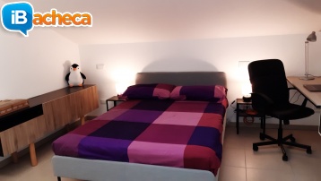 Immagine 4 - 3 Locali per studentesse