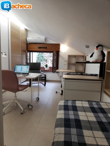 Immagine 5 - 3 Locali per studentesse