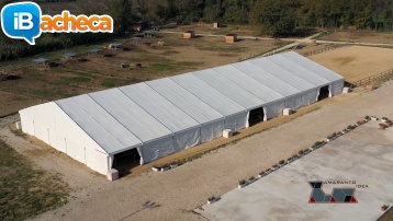 Immagine 1 - Tendostruttura Nuova25x50