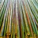Vendo canne di bambù - immagine 3