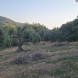 69 terreno e locale - immagine 2