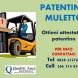 Patentino Muletto - immagine 1