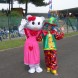 Animazione clown Livorno - immagine 2