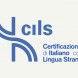 Certificazione cils - immagine 1