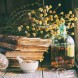 Corso di Nutrizione - immagine 2