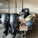 Cessione ramo d'azienda - immagine 4