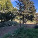 Casa colonica e magazzino - immagine 1