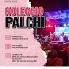 Noleggio palchi - immagine 4
