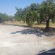 San Benedetto casa indip - immagine 4
