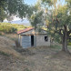 69 terreno metoio - immagine 1