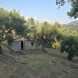 69 terreno metoio - immagine 5