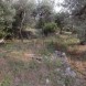 Rif.T3 - immagine 4