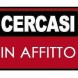 Cerchiamo in affitto - immagine 2