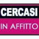 Cerchiamo in affitto - immagine 4