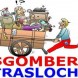 Sgombero Appart. e Uffici - immagine 1