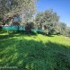 129 Salicuneta - immagine 4