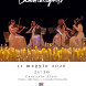 Concerto Elite - immagine 1